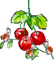 pranostika